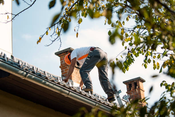 Best Roof Waterproofing Services  in Kurtistown, HI