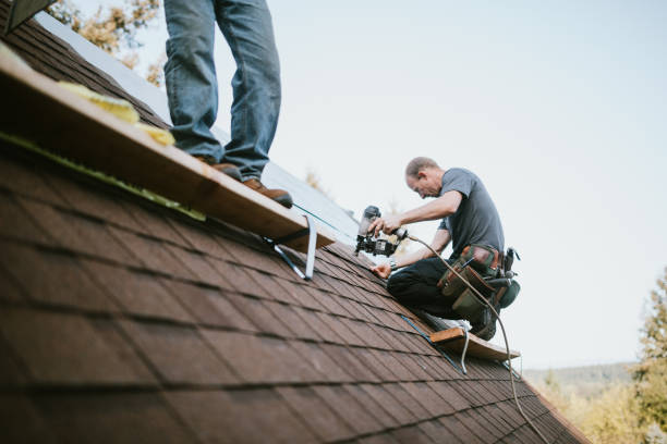 Best Commercial Roofing Services  in Kurtistown, HI